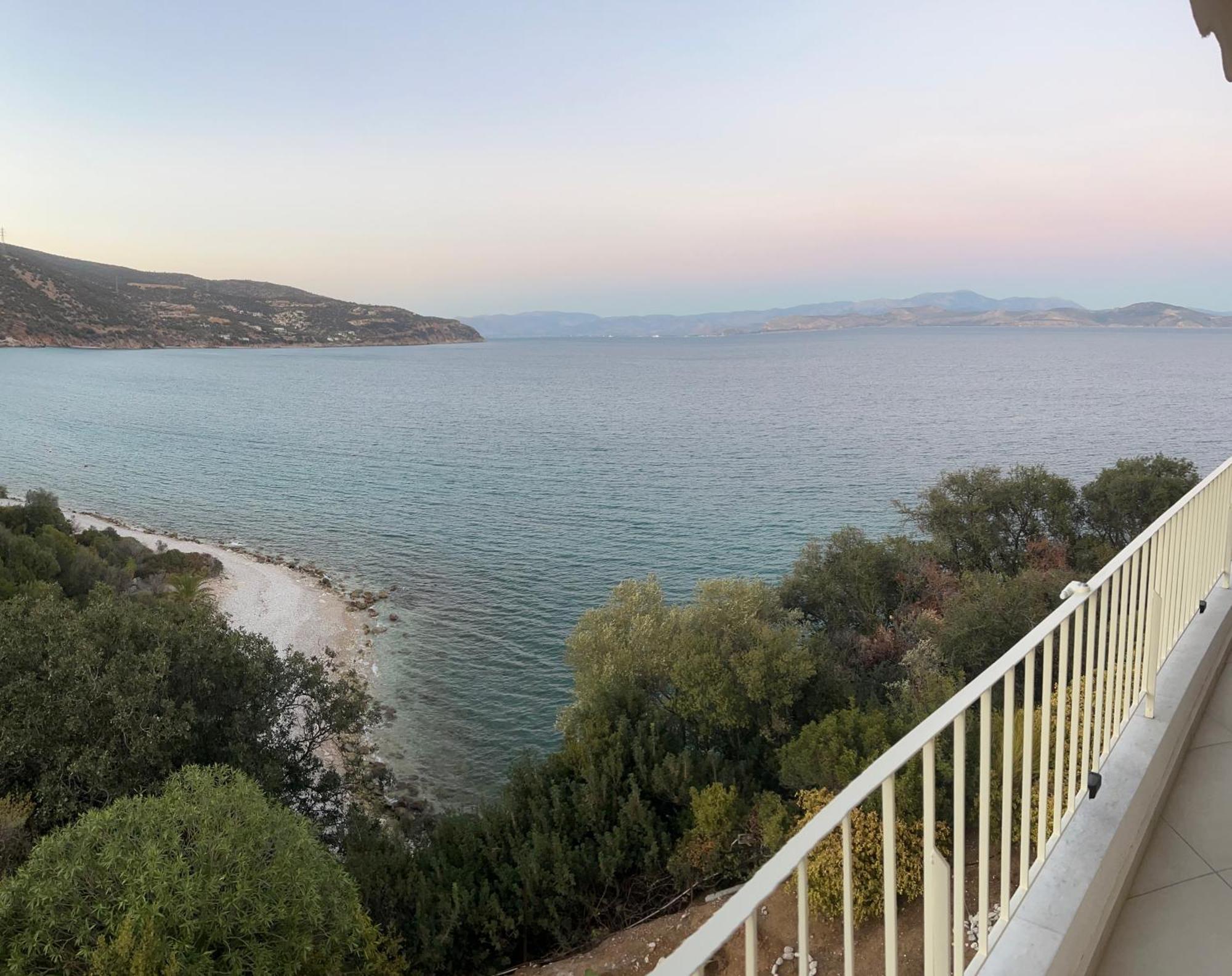 Xenia *